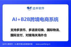 国际B2B电子商务平台开辟办事商保举：远丰软件